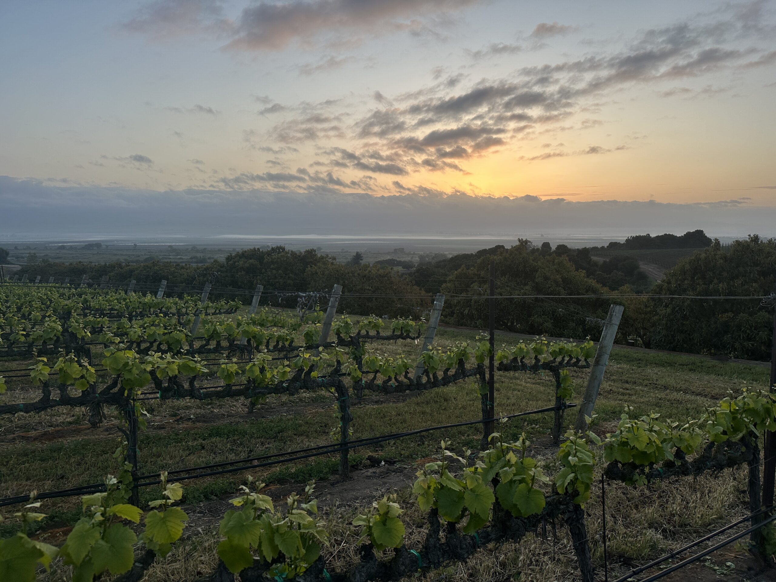 Clarice Member Santa Lucia Highlands Trip